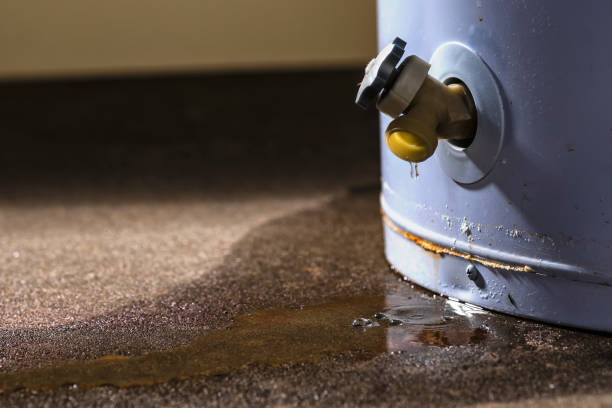 Best Water damage restoration cost  in Independence, MO