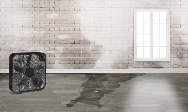 Best 24/7 water damage repair  in Independence, MO