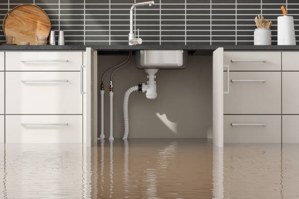 Best Water damage restoration near me  in Independence, MO